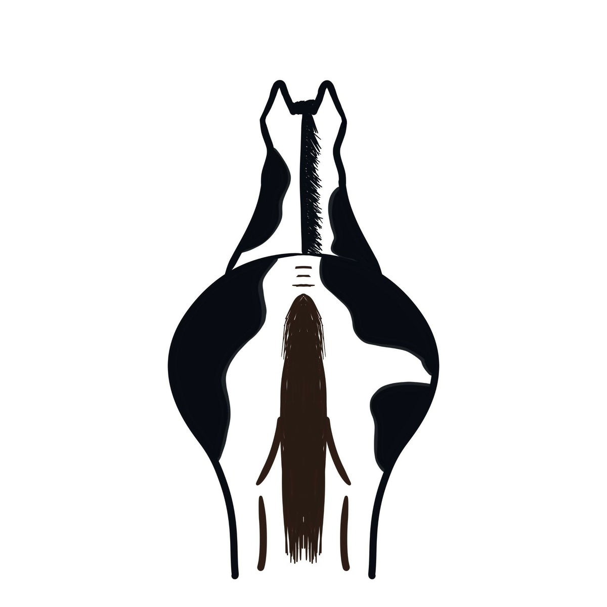 horse illustration